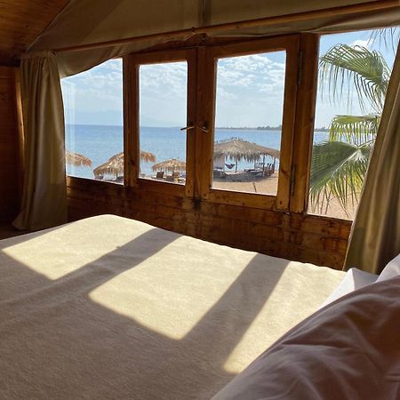 Nuweiba Lodge Exterior foto
