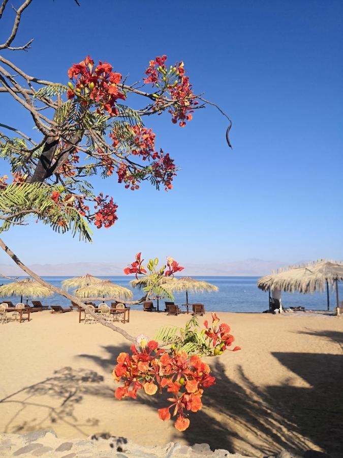 Nuweiba Lodge Exterior foto